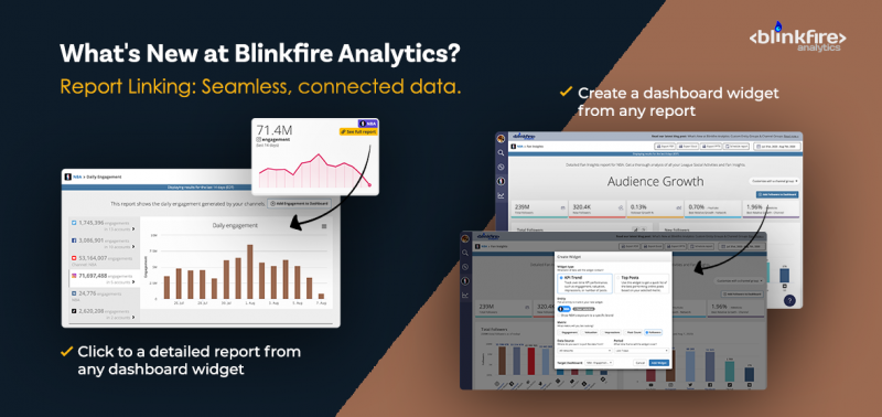 What’s New at Blinkfire Analytics Part 2: Report Linking