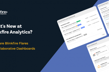 Shareable Dashboard and Flares Blinkfire Analytics