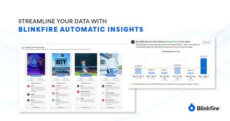 Streamline Your Data with Blinkfire Automatic Insights