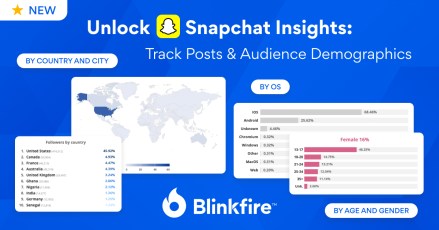 Unlock Snapchat Insights: Track Posts & Audience Demographics