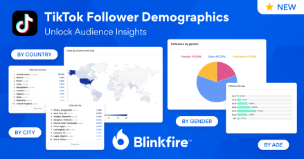 New in Blinkfire: TikTok Audience & Viewership Insights