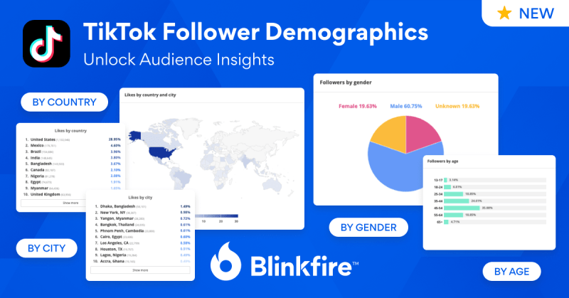 New in Blinkfire: TikTok Audience & Viewership Insights