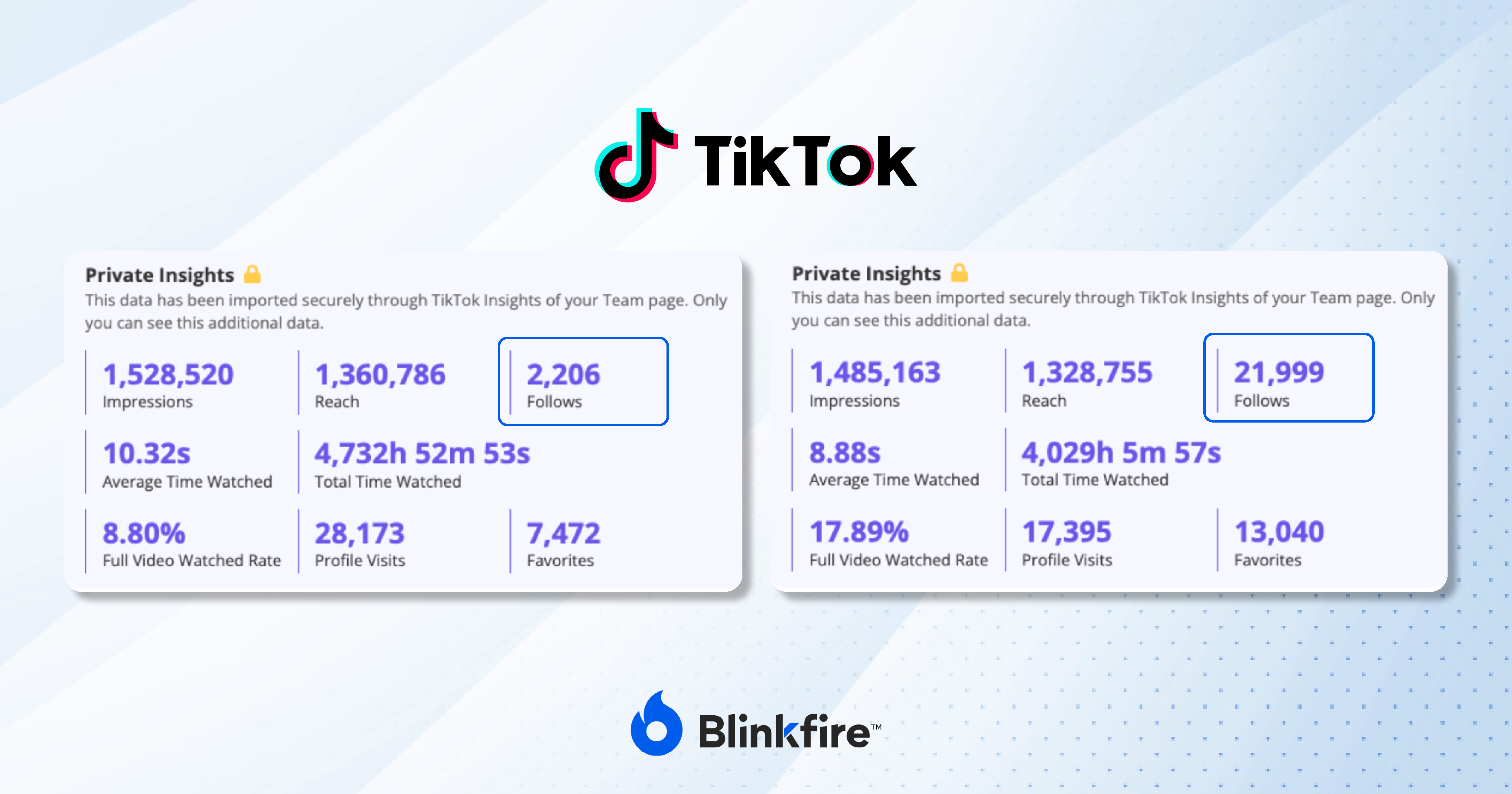 Blinkfire TikTok follower insights 
